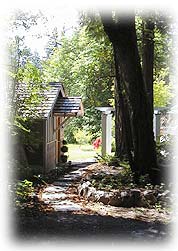 View of cottage through the trees